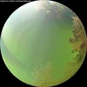 ./images/calvert/underwater/20260727/underwater20260727_174001M.jpg