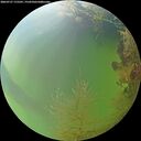 ./images/calvert/underwater/20260727/underwater20260727_175501M.jpg
