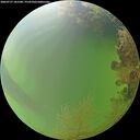 ./images/calvert/underwater/20260727/underwater20260727_181501M.jpg