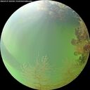 ./images/calvert/underwater/20260727/underwater20260727_182502M.jpg