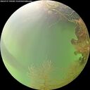 ./images/calvert/underwater/20260727/underwater20260727_190501M.jpg