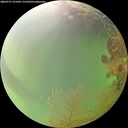 ./images/calvert/underwater/20260727/underwater20260727_191001M.jpg