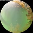 ./images/calvert/underwater/20260727/underwater20260727_200002M.jpg