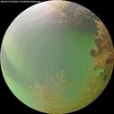 ./images/calvert/underwater/20260727/underwater20260727_201001M.jpg