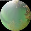 ./images/calvert/underwater/20260727/underwater20260727_201501M.jpg