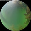 ./images/calvert/underwater/20260727/underwater20260727_210002M.jpg