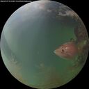 ./images/calvert/underwater/20260727/underwater20260727_211501M.jpg