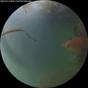 ./images/calvert/underwater/20260727/underwater20260727_214001M.jpg