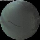 ./images/calvert/underwater/20260727/underwater20260727_220001M.jpg