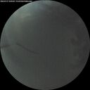 ./images/calvert/underwater/20260727/underwater20260727_220502M.jpg