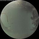 ./images/calvert/underwater/20260728/underwater20260728_053002M.jpg