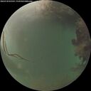 ./images/calvert/underwater/20260728/underwater20260728_053501M.jpg