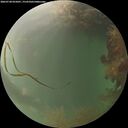 ./images/calvert/underwater/20260728/underwater20260728_055001M.jpg