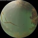 ./images/calvert/underwater/20260728/underwater20260728_055501M.jpg