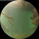 ./images/calvert/underwater/20260728/underwater20260728_061001M.jpg