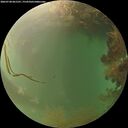 ./images/calvert/underwater/20260728/underwater20260728_061501M.jpg