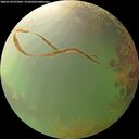 ./images/calvert/underwater/20260728/underwater20260728_073002M.jpg