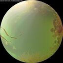 ./images/calvert/underwater/20260728/underwater20260728_073501M.jpg
