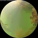 ./images/calvert/underwater/20260728/underwater20260728_090001M.jpg