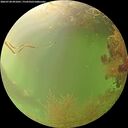 ./images/calvert/underwater/20260728/underwater20260728_091001M.jpg