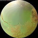 ./images/calvert/underwater/20260728/underwater20260728_091502M.jpg