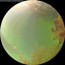 ./images/calvert/underwater/20260728/underwater20260728_092001M.jpg