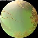 ./images/calvert/underwater/20260728/underwater20260728_093501M.jpg