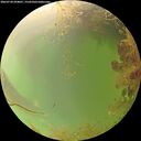 ./images/calvert/underwater/20260728/underwater20260728_094001M.jpg