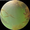 ./images/calvert/underwater/20260728/underwater20260728_094501M.jpg