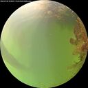 ./images/calvert/underwater/20260728/underwater20260728_103001M.jpg