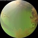 ./images/calvert/underwater/20260728/underwater20260728_104001M.jpg
