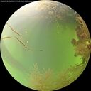 ./images/calvert/underwater/20260728/underwater20260728_105501M.jpg