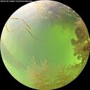 ./images/calvert/underwater/20260728/underwater20260728_110002M.jpg