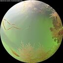 ./images/calvert/underwater/20260728/underwater20260728_110501M.jpg