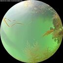 ./images/calvert/underwater/20260728/underwater20260728_113001M.jpg