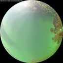./images/calvert/underwater/20260728/underwater20260728_115001M.jpg