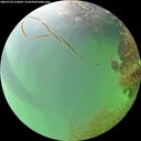 ./images/calvert/underwater/20260728/underwater20260728_123001M.jpg