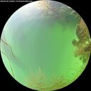 ./images/calvert/underwater/20260728/underwater20260728_124001M.jpg