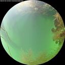 ./images/calvert/underwater/20260728/underwater20260728_125501M.jpg