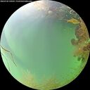 ./images/calvert/underwater/20260728/underwater20260728_130501M.jpg