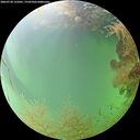./images/calvert/underwater/20260728/underwater20260728_131001M.jpg