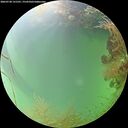 ./images/calvert/underwater/20260728/underwater20260728_131501M.jpg