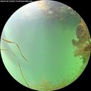 ./images/calvert/underwater/20260728/underwater20260728_132001M.jpg