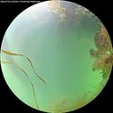 ./images/calvert/underwater/20260728/underwater20260728_132501M.jpg