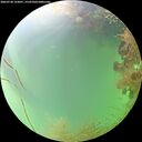 ./images/calvert/underwater/20260728/underwater20260728_133001M.jpg