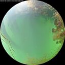 ./images/calvert/underwater/20260728/underwater20260728_133501M.jpg