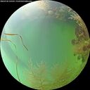 ./images/calvert/underwater/20260728/underwater20260728_135501M.jpg