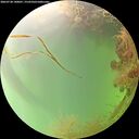 ./images/calvert/underwater/20260728/underwater20260728_140001M.jpg