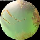 ./images/calvert/underwater/20260728/underwater20260728_141001M.jpg