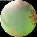 ./images/calvert/underwater/20260728/underwater20260728_141502M.jpg